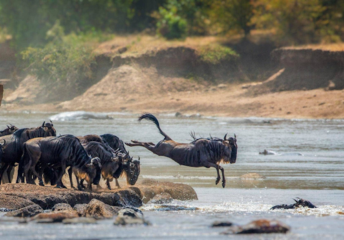 4 DAYS TANZANIA BUDGET SAFARI SERENGETI AND NGORONGORO CRATER.